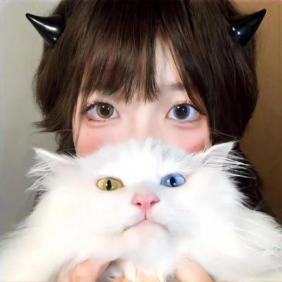有毛冇翼飞天猪